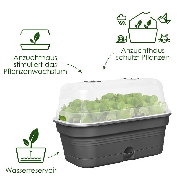 green basics anzucht schale allin1 m living schwarz